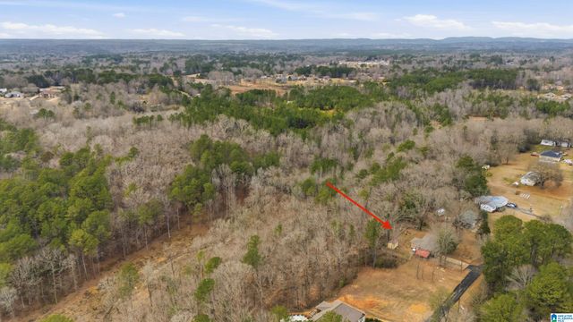 1250 SUGAR RIDGE ROAD, Morris, AL 35116