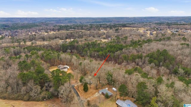 1250 SUGAR RIDGE ROAD, Morris, AL 35116
