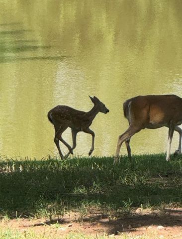 13200 Anita Lane, Edmond, OK 73034