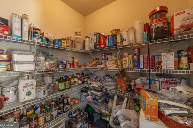 2445 Fisk Falls Drive, Braselton, GA 30517