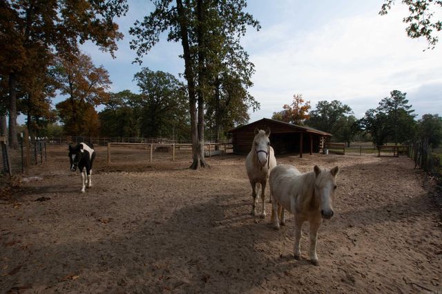 19688 MCPHERSON Road, Mabelvale, AR 72103