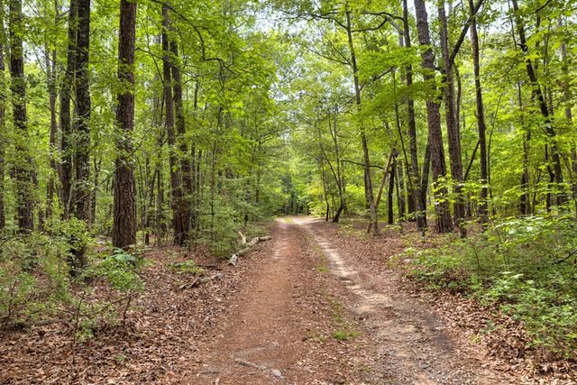 3900 Settlement Road, Dalzell, SC 29040