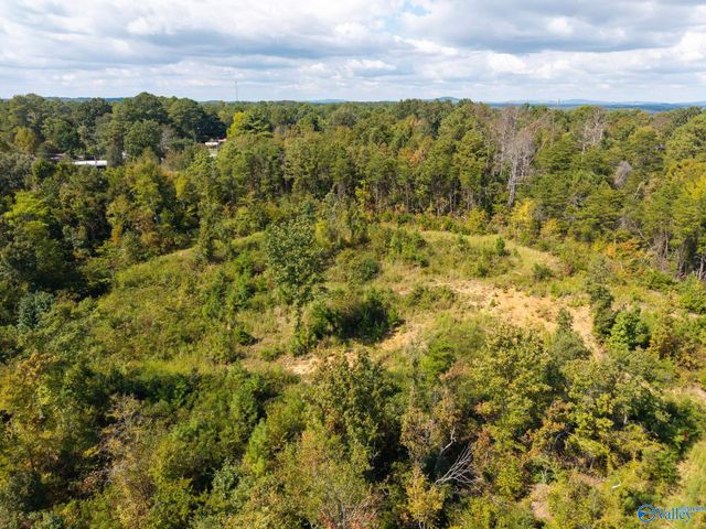 414 Hough Road, Laceys Spring, AL 35754