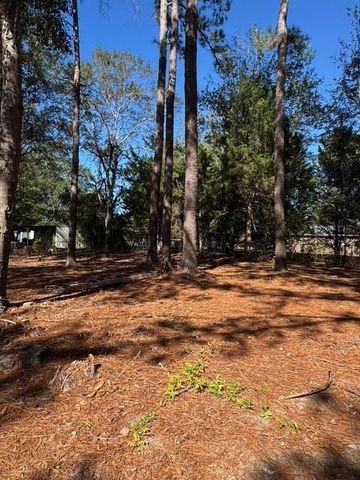 109 Lillian, Opp, AL 36467