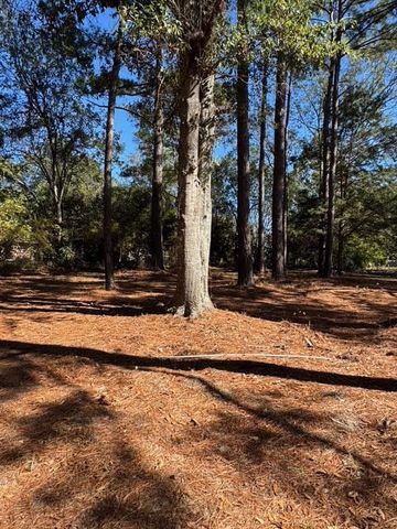 109 Lillian, Opp, AL 36467