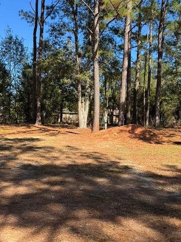 109 Lillian, Opp, AL 36467