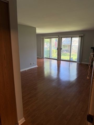 610 STONE CIRCLE Court V1, Schaumburg, IL 60194