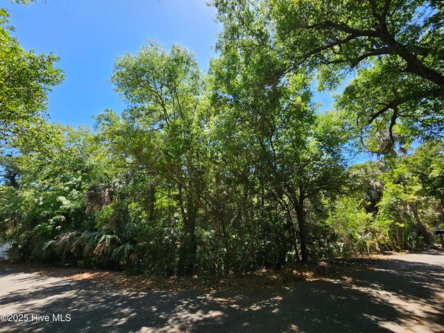 30 Sabal Palm Trail, Bald Head Island, NC 28461