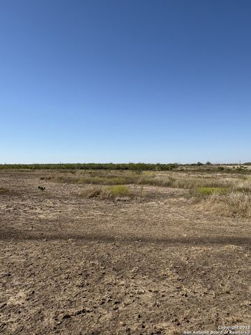 1446 County Road 332, Charlotte, TX 78011