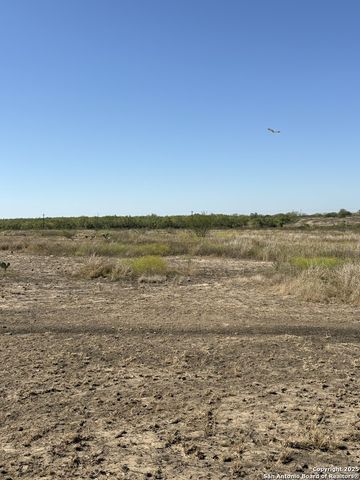 1446 County Road 332, Charlotte, TX 78011