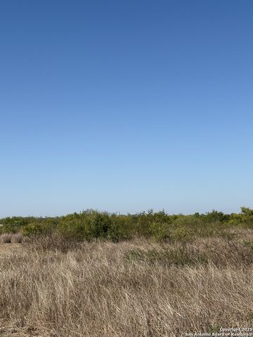 1446 County Road 332, Charlotte, TX 78011