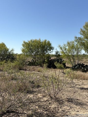 1446 County Road 332, Charlotte, TX 78011