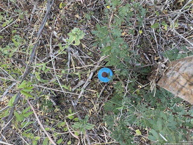 1446 County Road 332, Charlotte, TX 78011