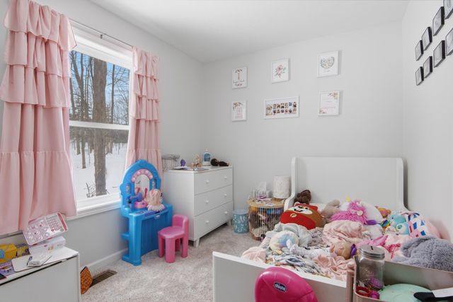 4214 Antioch Drive, Mesick, MI 49668