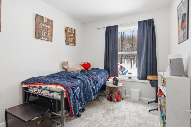 4214 Antioch Drive, Mesick, MI 49668