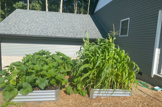 4214 Antioch Drive, Mesick, MI 49668