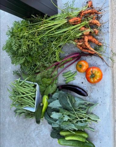 4214 Antioch Drive, Mesick, MI 49668