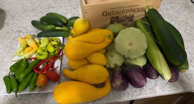 4214 Antioch Drive, Mesick, MI 49668