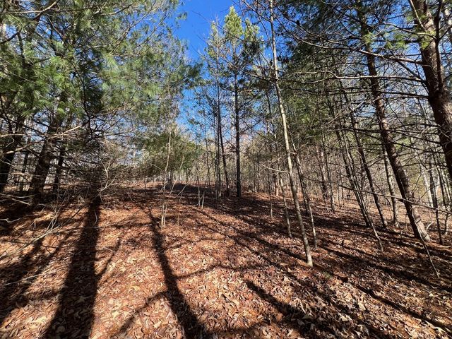 13 Gladys Lane, Young Harris, GA 30582