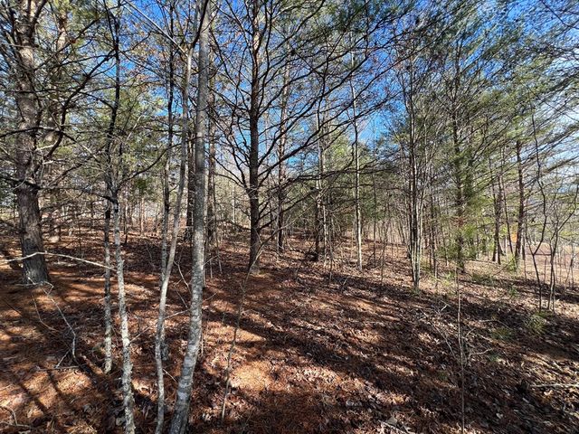 13 Gladys Lane, Young Harris, GA 30582