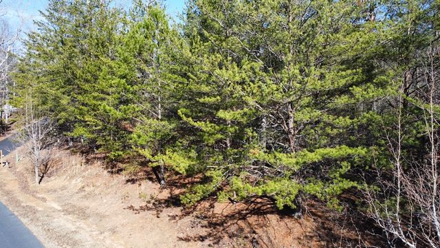 13 Gladys Lane, Young Harris, GA 30582