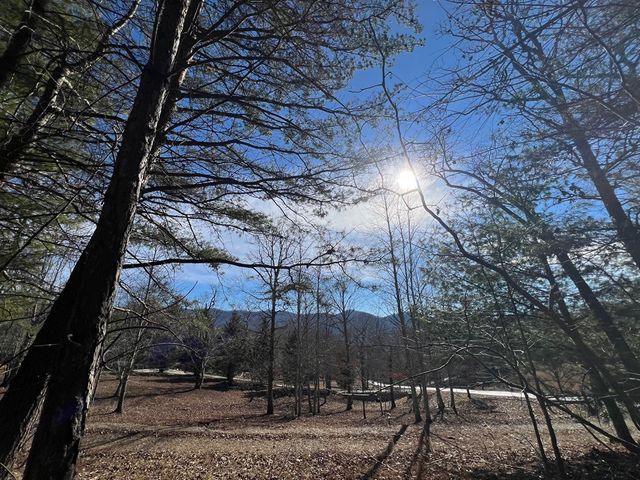 13 Gladys Lane, Young Harris, GA 30582