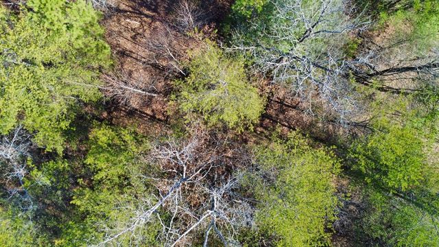 13 Gladys Lane, Young Harris, GA 30582