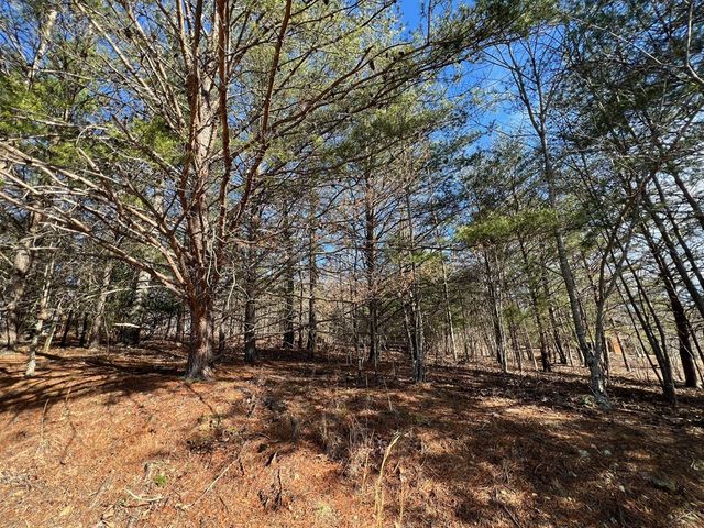 13 Gladys Lane, Young Harris, GA 30582