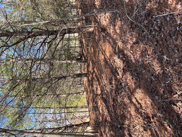 13 Gladys Lane, Young Harris, GA 30582