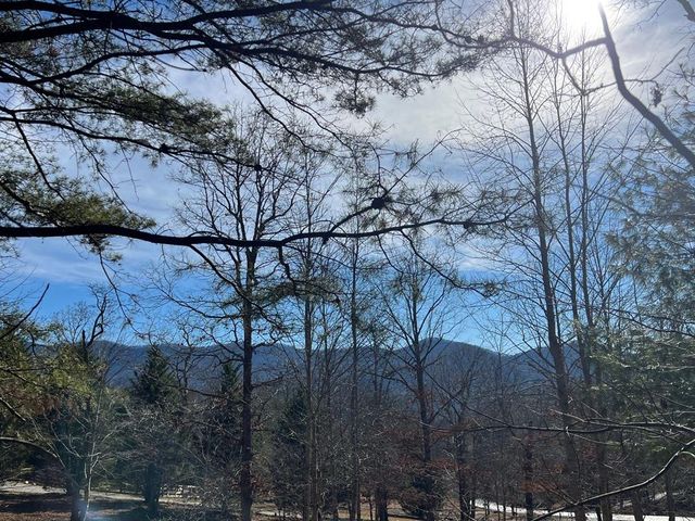 13 Gladys Lane, Young Harris, GA 30582