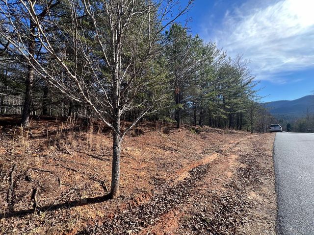 13 Gladys Lane, Young Harris, GA 30582