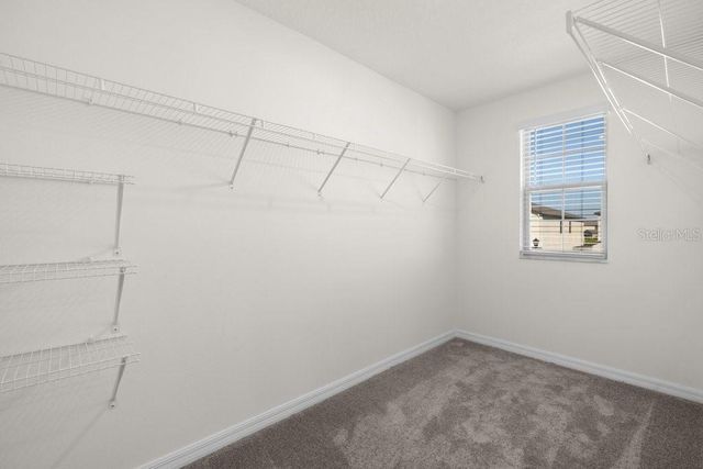 7227 RONNIE GARDENS COURT, Tampa, FL 33619