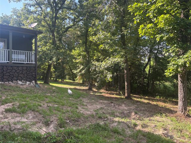 2937 An County Road 2303, Montalba, TX 75853
