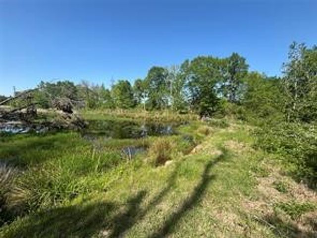 2937 An County Road 2303, Montalba, TX 75853