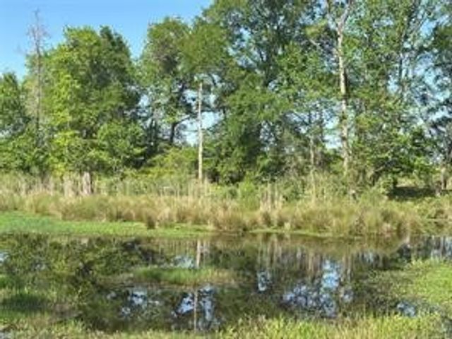 2937 An County Road 2303, Montalba, TX 75853