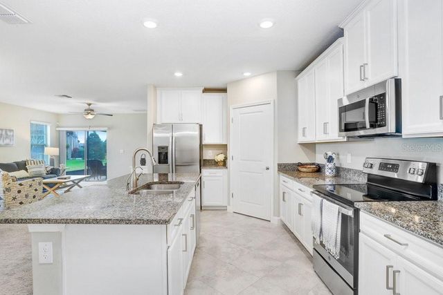 10282 ECHO DOCK LOOP, San Antonio, FL 33576