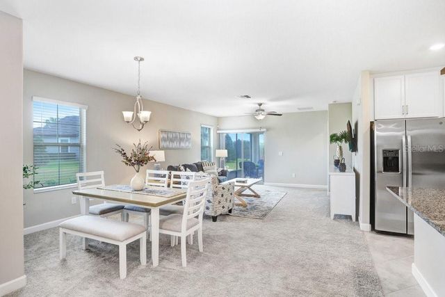 10282 ECHO DOCK LOOP, San Antonio, FL 33576