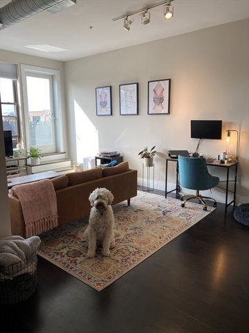 154 W 2nd St 404, Boston, MA 02127