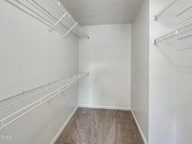 176 Southwick Avenue, Clayton, NC 27527