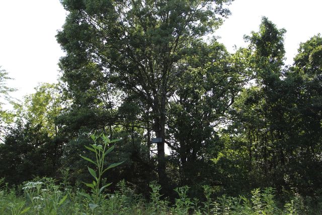 295 Saint Johns Road, Frankfort, KY 40601