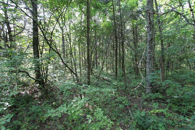 295 Saint Johns Road, Frankfort, KY 40601