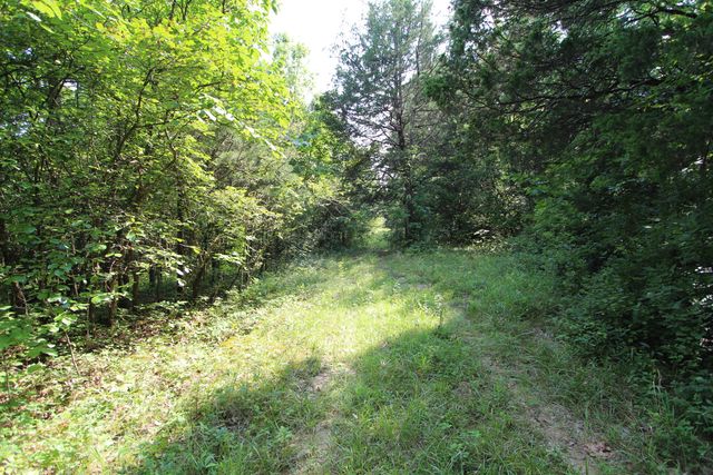 295 Saint Johns Road, Frankfort, KY 40601