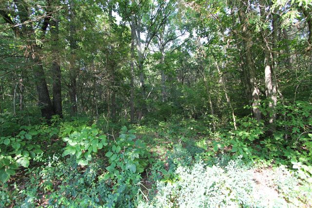 295 Saint Johns Road, Frankfort, KY 40601