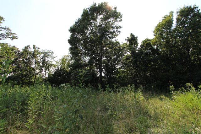 295 Saint Johns Road, Frankfort, KY 40601