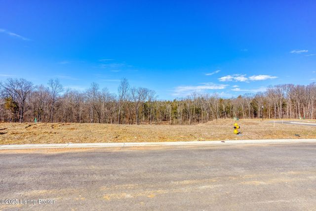 243 Catalpa Leaf Way, Fisherville, KY 40023