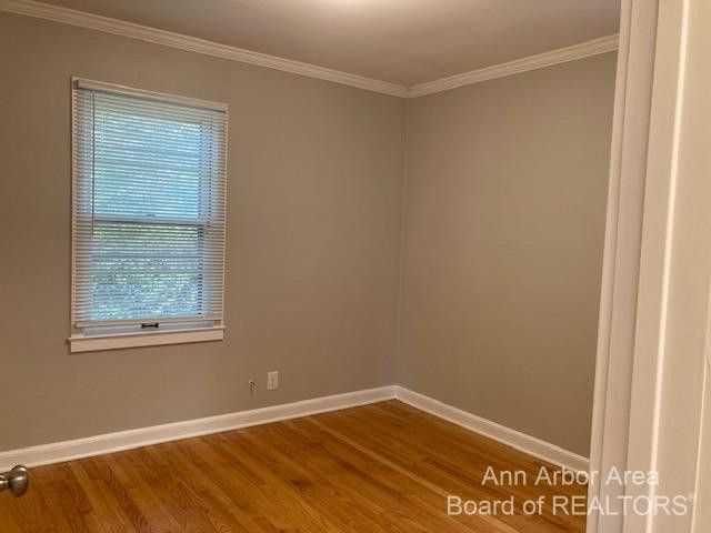 303 Potter Avenue, Ann Arbor, MI 48103