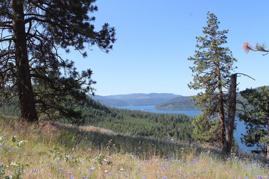 10a Honor Rd, Harrison, ID 83833