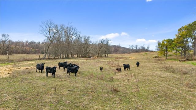 Columbia Hollow Road, Decatur, AR 72722