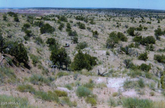 000 N6315 -- 115, St Johns, AZ 85936