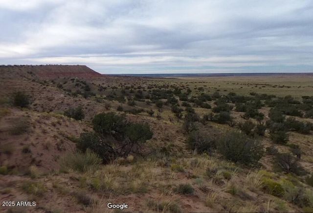 000 N6315 -- 115, St Johns, AZ 85936